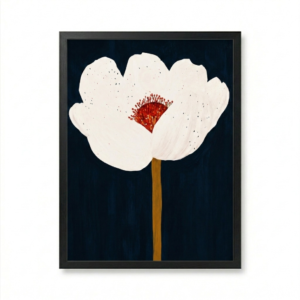 Fleur Blanche Fond Nuit